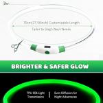 Rechargeable LED Dog Collar - Waterproof & Reflective