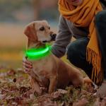 Light Up Dog Collar - Reflective LED Adjustable