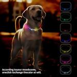 Rechargeable LED Dog Collar - Waterproof & Adjustable