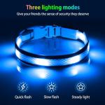 Illumifun Rechargeable Light-Up Dog Collar - Medium Light Blue