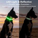 LED Light Up Dog Collar for Night Safety