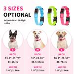 LED Light Up Dog Collars - Rechargeable, Adjustable, Bright