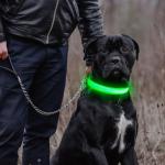 Light Up Dog Collar - Reflective LED Adjustable