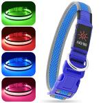 BSEEN Rechargeable LED Light Up Dog Collar
