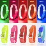 Rechargeable LED Dog Collar for Night Safety