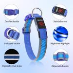 Illumifun Rechargeable Light-Up Dog Collar - Medium Light Blue