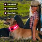 LED Rechargeable Light Up Dog Collar for Night