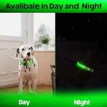 LED Light-Up Dog Collar – Adjustable & Reflective Green
