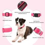LED Light Up Dog Collars - Rechargeable, Adjustable, Bright
