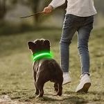 Green LED Dog Collar - Adjustable & Reflective