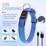 Illumifun Rechargeable Light-Up Dog Collar - Medium Light Blue