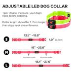 LED Rechargeable Light Up Dog Collar for Night