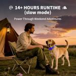 USB Rechargeable LED Dog Collar with Metal Buckle