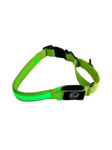 Light-Up Adjustable Martingale Dog Collar - Green