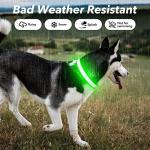 LED Light Up Dog Collar for Night Safety
