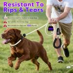 LED Light-Up Dog Leash and Collar Combo