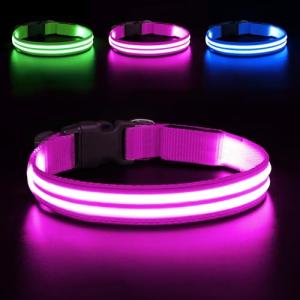 LED Light Up Dog Collar - Rechargeable Glow Pink