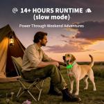 Glow-in-the-Dark LED Dog Collar - Green Large