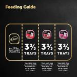 Cesar Classic Beef Wet Dog Food Variety Pack