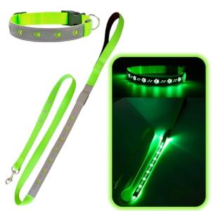 LED Light Up Dog Leash and Collar Set