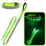 LED Light Up Dog Leash and Collar Set