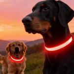 2-Pack Red LED Dog Collars for Safety