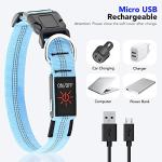 Weesiber Rechargeable LED Dog Collar - Blue