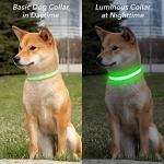 LED Light Up Dog Collar for Night Safety