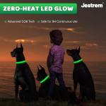Rechargeable LED Dog Collar - Waterproof & Reflective