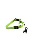 Light-Up Adjustable Martingale Dog Collar - Green