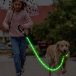 LED Light-Up Dog Leash and Collar Combo