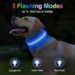 Rechargeable LED Dog Collar for Night Walking
