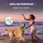 Glow-in-the-Dark LED Dog Collar - Green Large