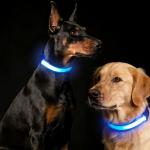 LED Dog Collar 2-Pack for Night Safety