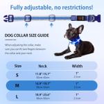Illumifun Rechargeable Light-Up Dog Collar - Medium Light Blue