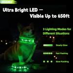 LED Light Up Dog Leash and Collar Set