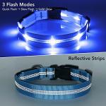 Weesiber Rechargeable LED Dog Collar - Blue