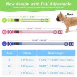 Adjustable LED Light-Up Dog Collar - Green