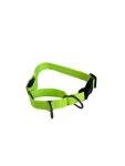 Light-Up Adjustable Martingale Dog Collar - Green