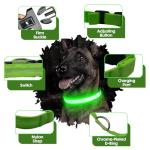 LED Light-Up Dog Collar – Adjustable & Reflective Green
