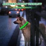 Rechargeable LED Dog Collar - Waterproof & Reflective