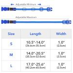 BSEEN Rechargeable LED Light Up Dog Collar