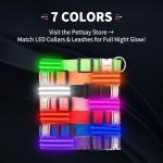 Glow-in-the-Dark LED Dog Collar - Green Large