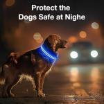 Rechargeable LED Dog Collar for Night Walking