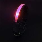 Avaner Reflective LED Light-Up Dog Collar