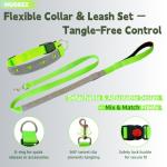 LED Light Up Dog Leash and Collar Set