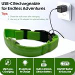 LED Light-Up Dog Collar – Adjustable & Reflective Green