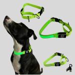 Light-Up Adjustable Martingale Dog Collar - Green