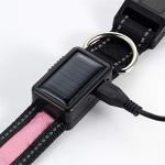 Avaner Reflective LED Light-Up Dog Collar