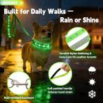 LED Light Up Dog Leash and Collar Set